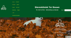 Desktop Screenshot of dierenkliniektergouwe.com